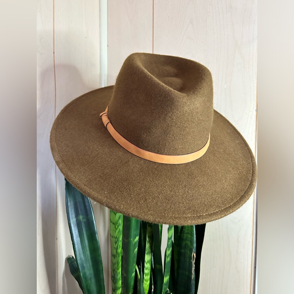 Brown felt fedora hat